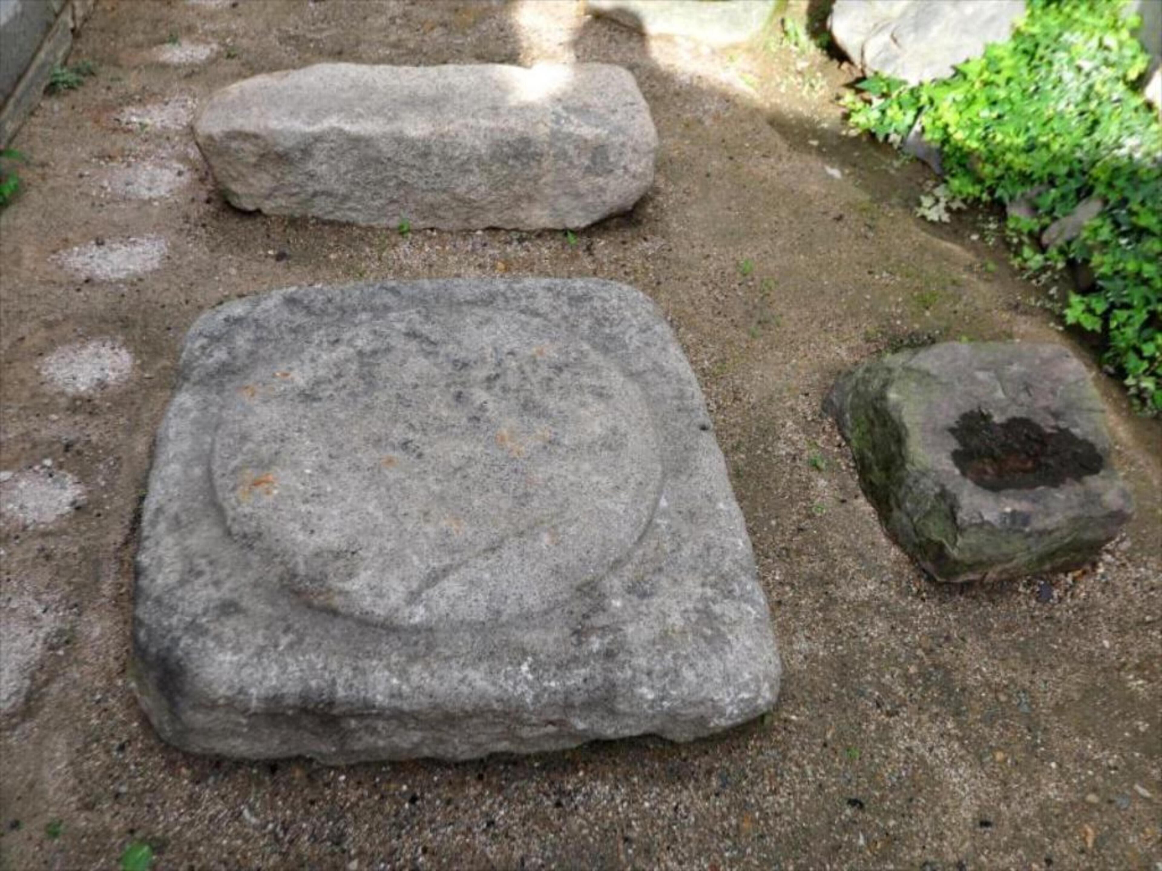 Un sentiero in pietra con lastre grandi e piatte e una pietra più piccola con una macchia scura.