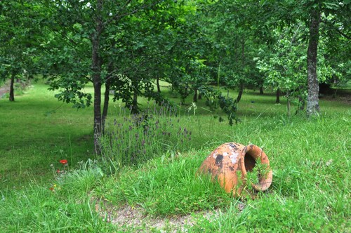 Paradise is real at Vale Martinho Rosa