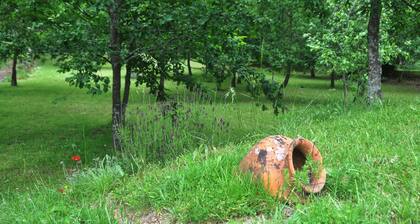 Paradise is real at Vale Martinho Rosa