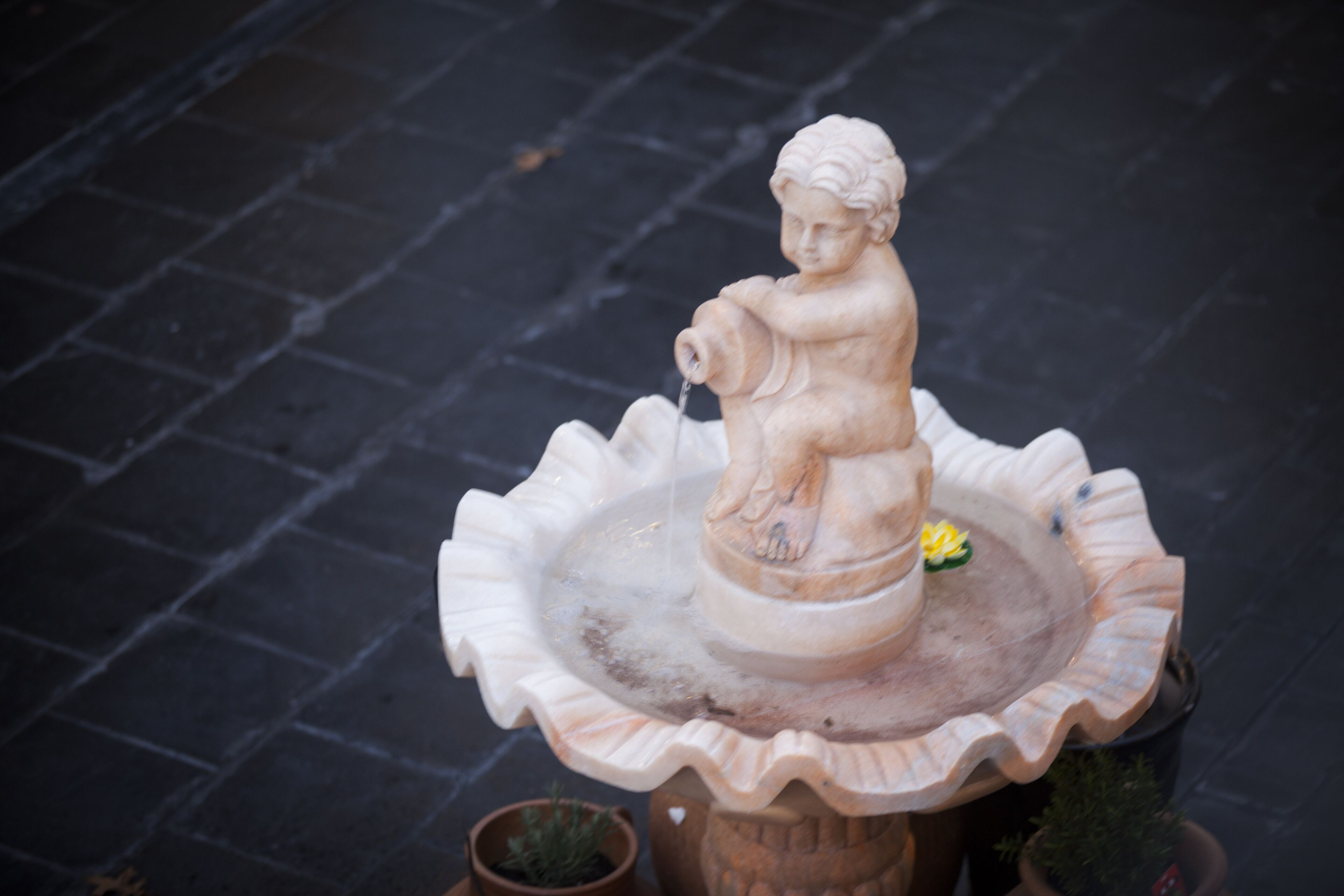 Photo - The Salisbury