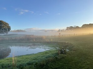 Un paysage paisible avec un étang, des zones herbeuses et une clôture.