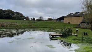 En sø med sivplanter, omgivet af græsarealer og en bygning i sten.
