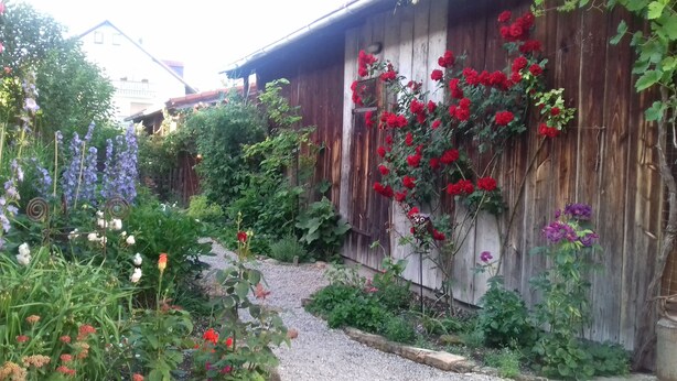 A garden with a gravel path, various flowering plants, and a wooden fence. - Vacation apartment Obere Stadt in the center of Weilheim (Weilheim in Oberbayern)
