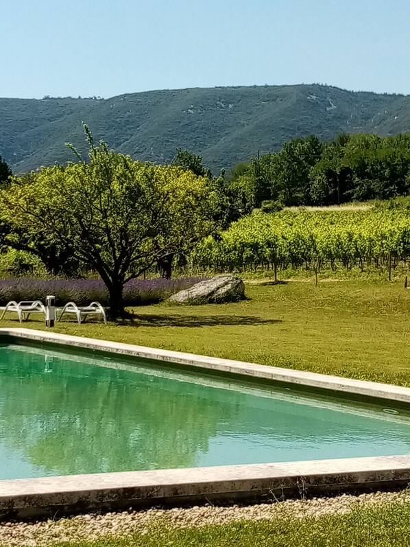 Outdoor pool - Charming gite 2 pers in Luberon, quiet, panoramic view, swimming pool, fireplace  (Lacoste)