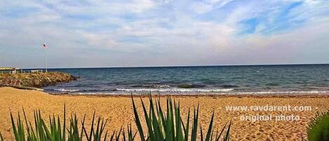 On the beach, sun-loungers