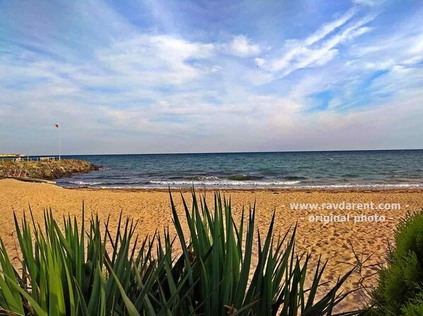 On the beach, sun-loungers