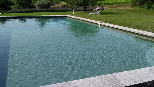 A rectangular swimming pool with clear water, surrounded by a grassy area with trees and a vineyard in the background. - Charme D'un mas en Luberon, Calm, Panoramic view, Swimming pool, Fireplace (Lacoste)