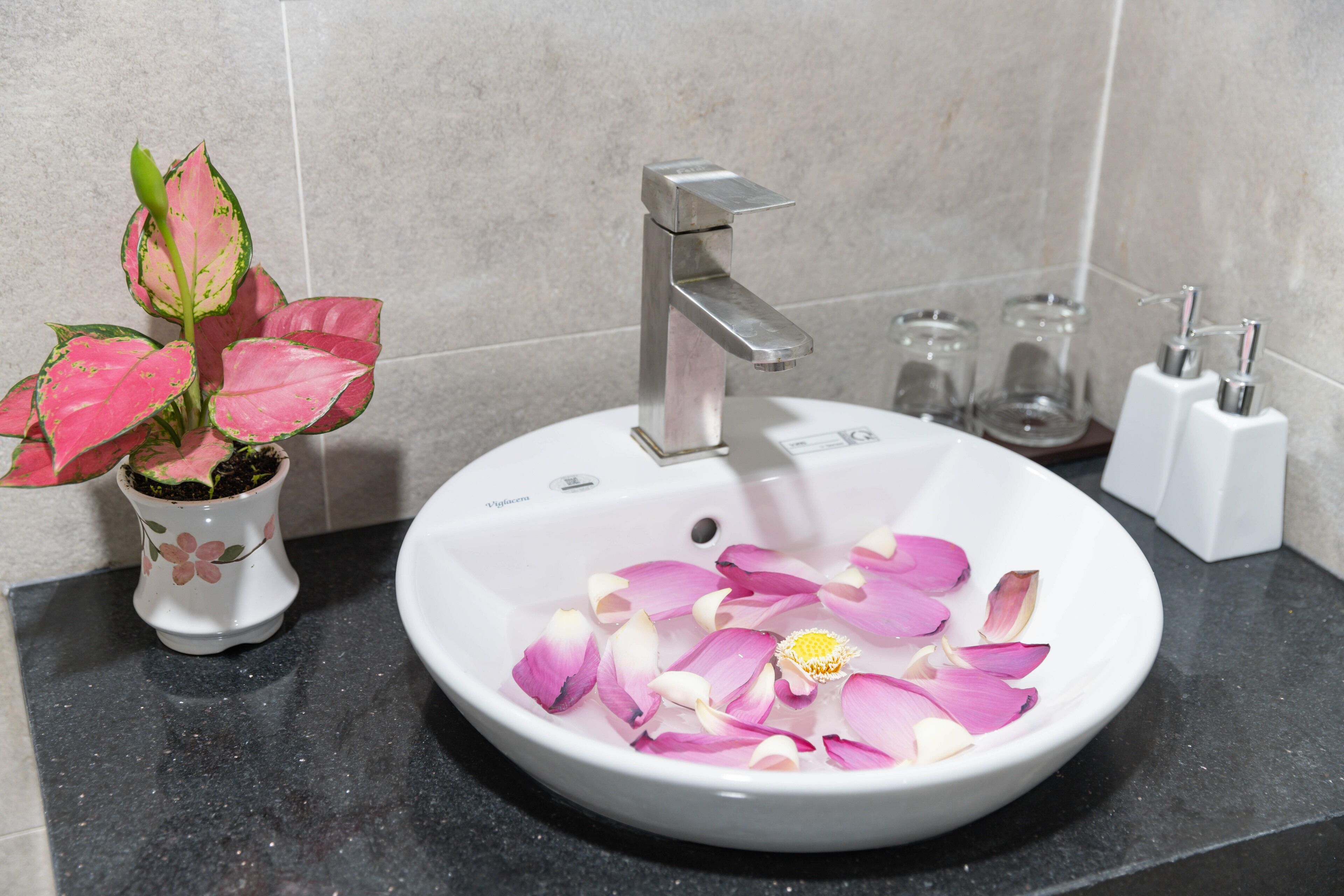 A bathroom sink with a modern faucet, a potted plant, and rose petals in the basin.
