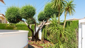 Un jardín con un sendero de piedra, arbustos variados y una palmera.