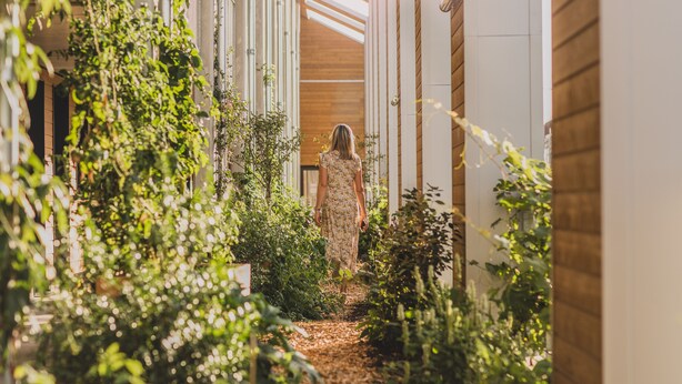 Un sentier étroit, bordé de verdure de part et d’autre, mène à une structure en bois dotée d’un toit en pente.