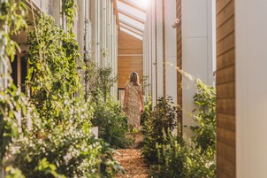 Un sentier étroit, bordé de verdure de part et d’autre, mène à une structure en bois dotée d’un toit en pente.