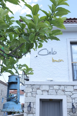 Detalle del exterior