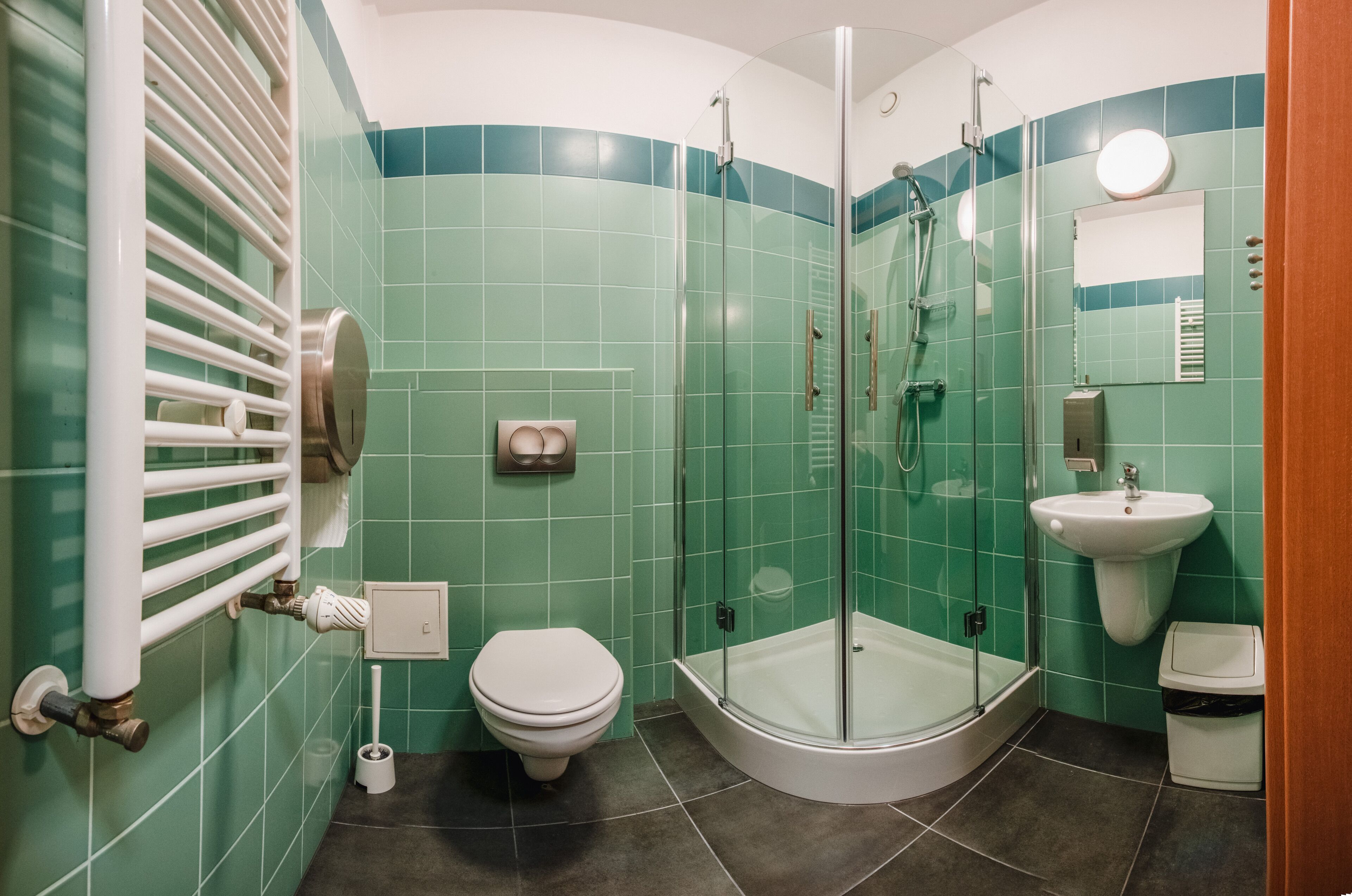 shower, towels, toilet paper