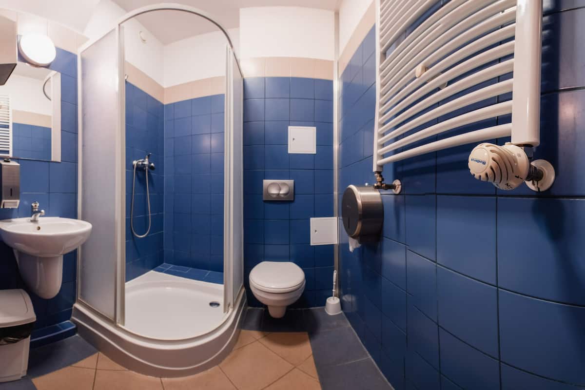 triple room | bathroom | shower, towels, toilet paper