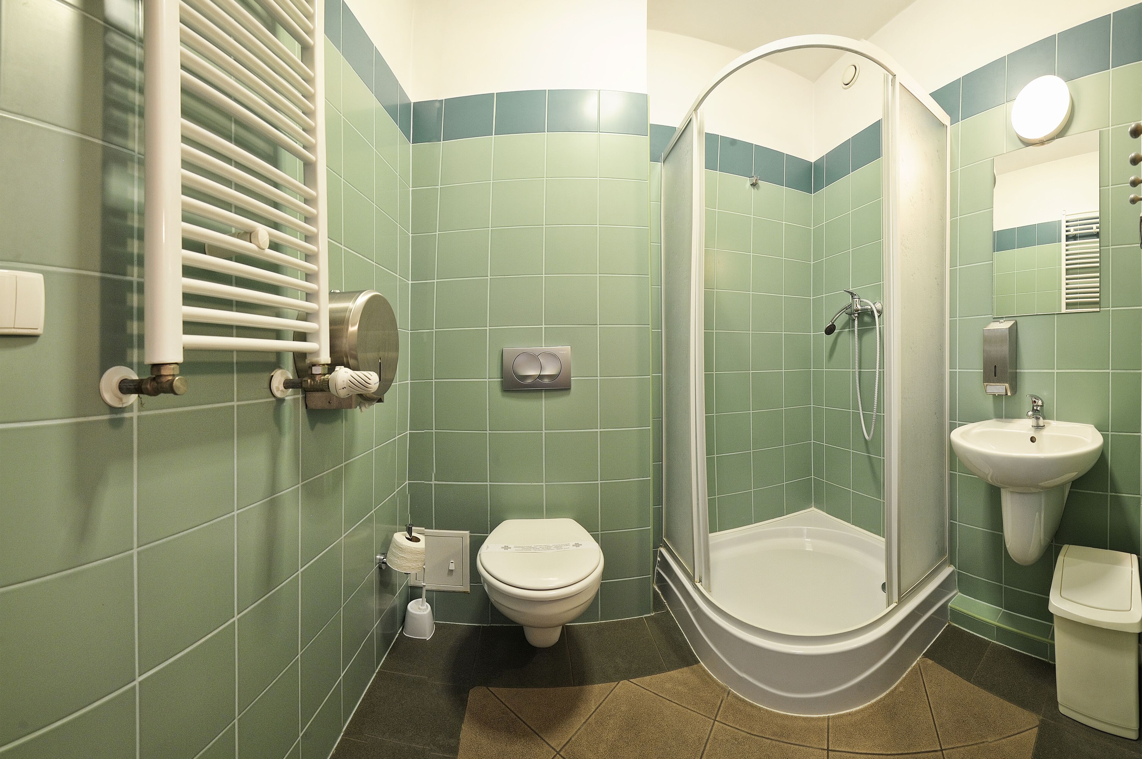 single room | bathroom | shower, towels, toilet paper