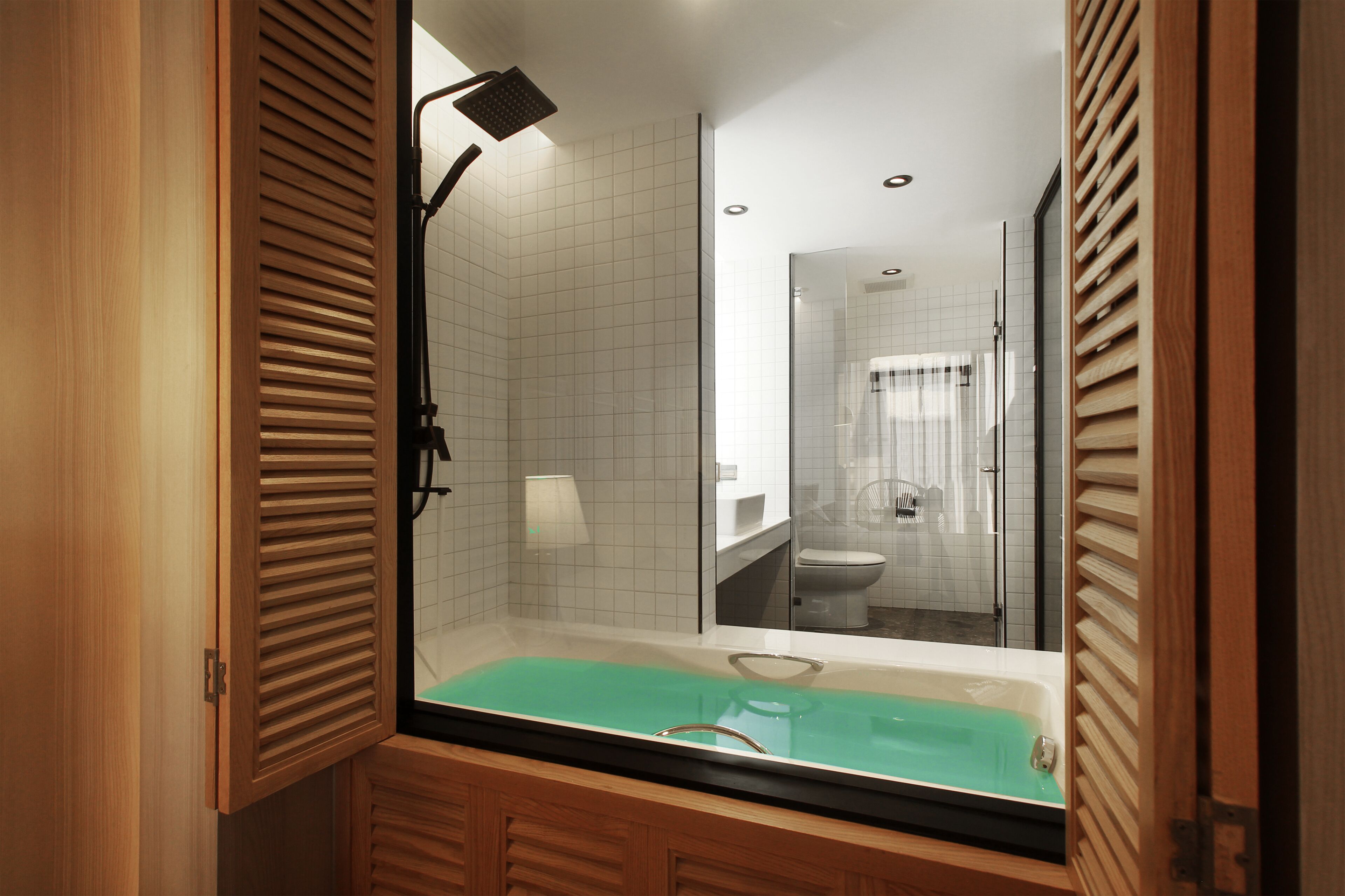 separate bathtub and shower, hydromassage showerhead, hair dryer