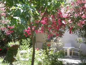 Terrace/patio - MAS PROVENCAL GREAT PEACE OF THE COUNTRYSIDE (MARGUERITTES)