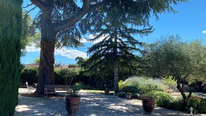 A garden with a large tree, a bench, and potted plants. - Mas provençal en pierre  (UZES)