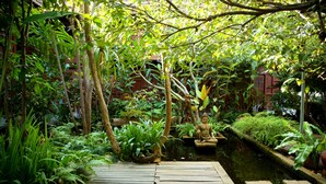 Une terrasse en bois mène à un étang orné d’une statue, le tout étant entouré d’une végétation luxuriante.