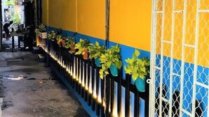 Une ruelle étroite avec un mur jaune et bleu, un portail blanc et des plantes en pot le long du mur.