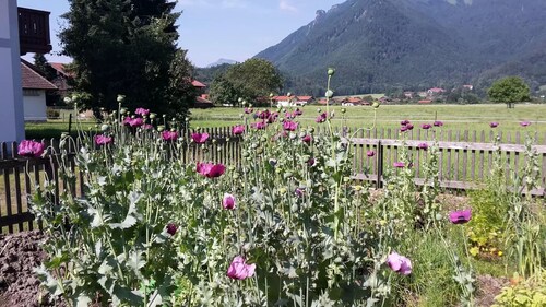 Ferienwohnung Schnappen 40 qm, 3 Personen, 1 Schlafzimmer, Balkon