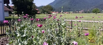 Apartment Schnappen 40 sqm, 3 persons, 1 bedroom, balcony