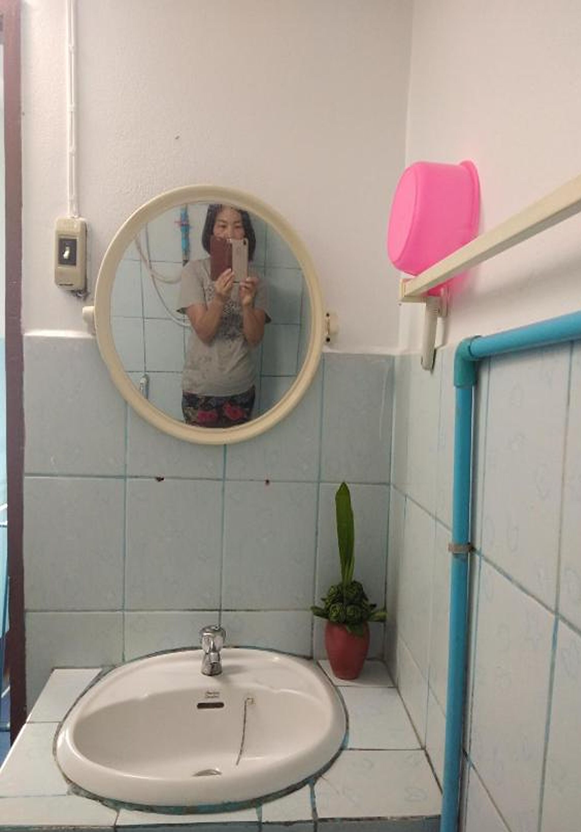 Ein Badezimmer mit rundem Spiegel, Waschbecken, einer Topfpflanze und einem rosa Behälter an der Wand.