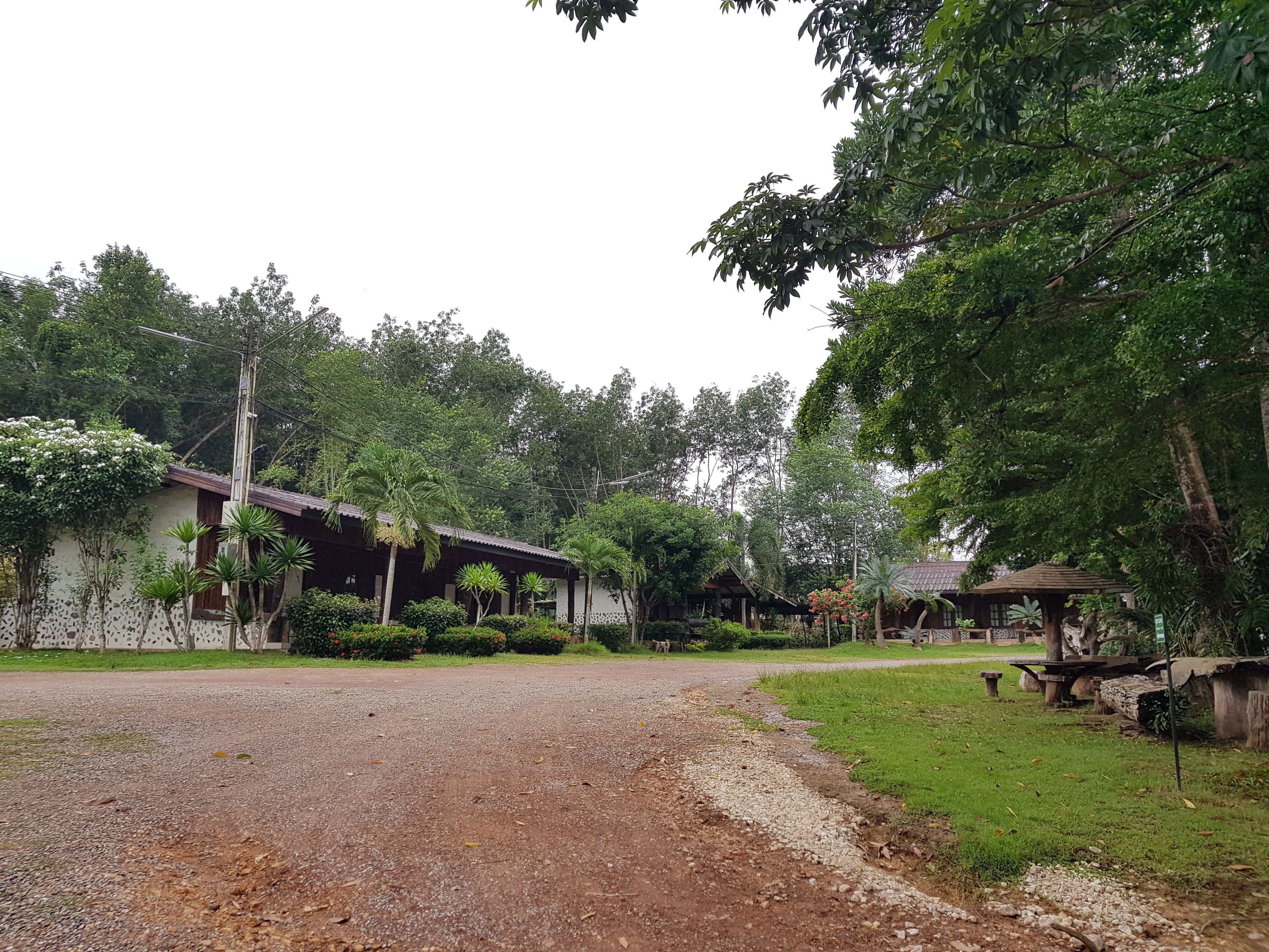 Entorno rural con un camino de grava, casas de madera tradicionales y abundante vegetación.