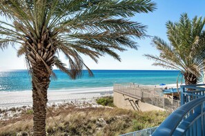 Studio (3 Bedrooms) | Innenbereich