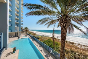 A hotel with a pool, a beach view, and a palm tree. - Sterling Breeze 2001 (Panama City Beach)
