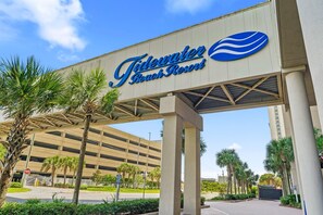 Studio (3 Bedrooms) | Interior