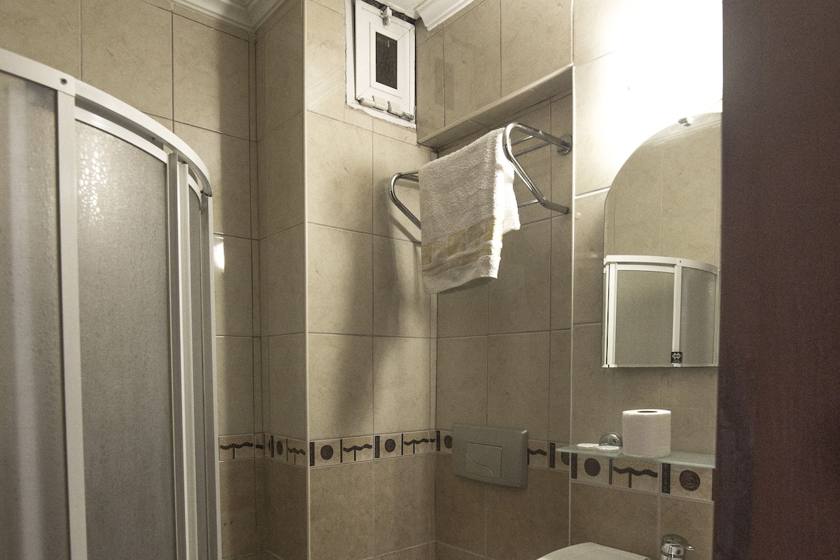 Shower, hydromassage showerhead, free toiletries, hair dryer