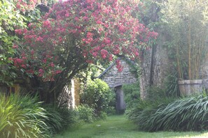 Property grounds - On a 3-hour property, in the heart of the forest, the Gites du Lety await you (Perret)