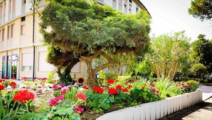 A landscaped garden with a variety of colorful flowers and a neatly trimmed tree. - Hotel Cristallo (Riolo Terme)
