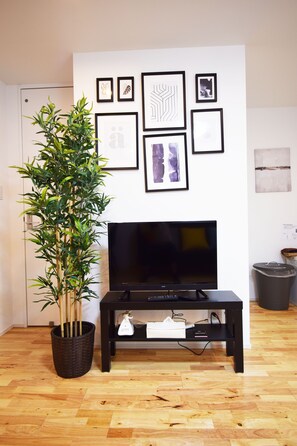 Apartment | Television