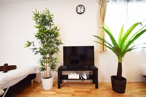 Apartment | Television