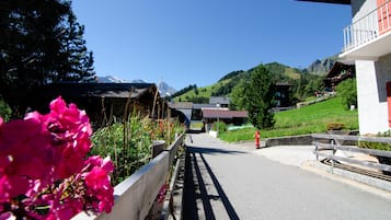 高級雙人房 | 街景