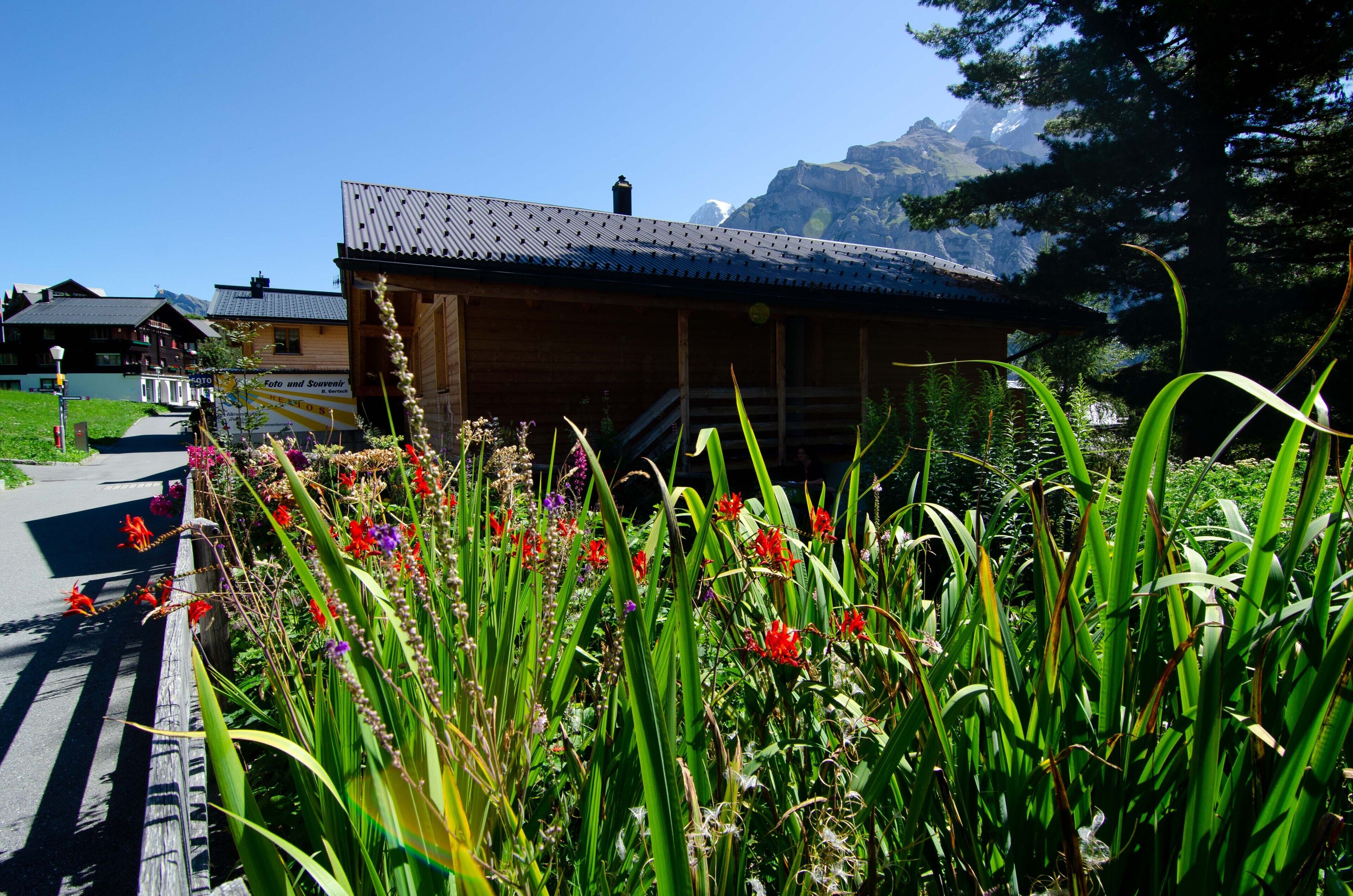 superior double room | garden view