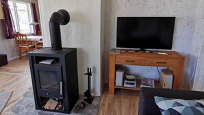 Una sala de estar acogedora con chimenea, un televisor sobre un mueble de madera y un sofá con cojines estampados.