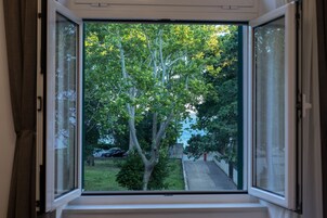 A window with a view of a tree-lined street and parked cars.