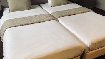 华丽双床房 | 办公桌、笔记本电脑工作区、隔音、熨斗/熨板