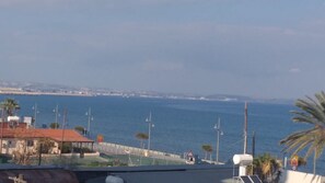 Vista del balcón