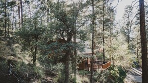 A cabin nestled in a forest with a wooden deck and a small porch. - State 48 Retreat Prescott Arizona (Prescott)