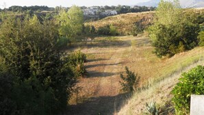 A rural landscape with a dirt path, dense vegetation, and distant buildings. - Typical dwelling with garden & sea view on the Bay  (Scalea)