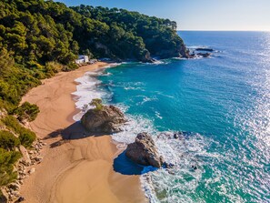 Playa en los alrededores 
