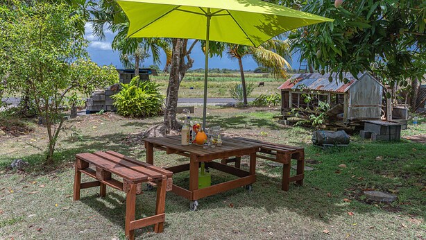 Una mesa de madera y bancos bajo un paraguas amarillo en un espacio al aire libre con césped, árboles y un cobertizo pequeño.