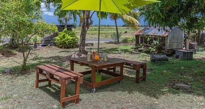 Le Verger de Charles - jardin arboré - Petit Canal Guadeloupe
