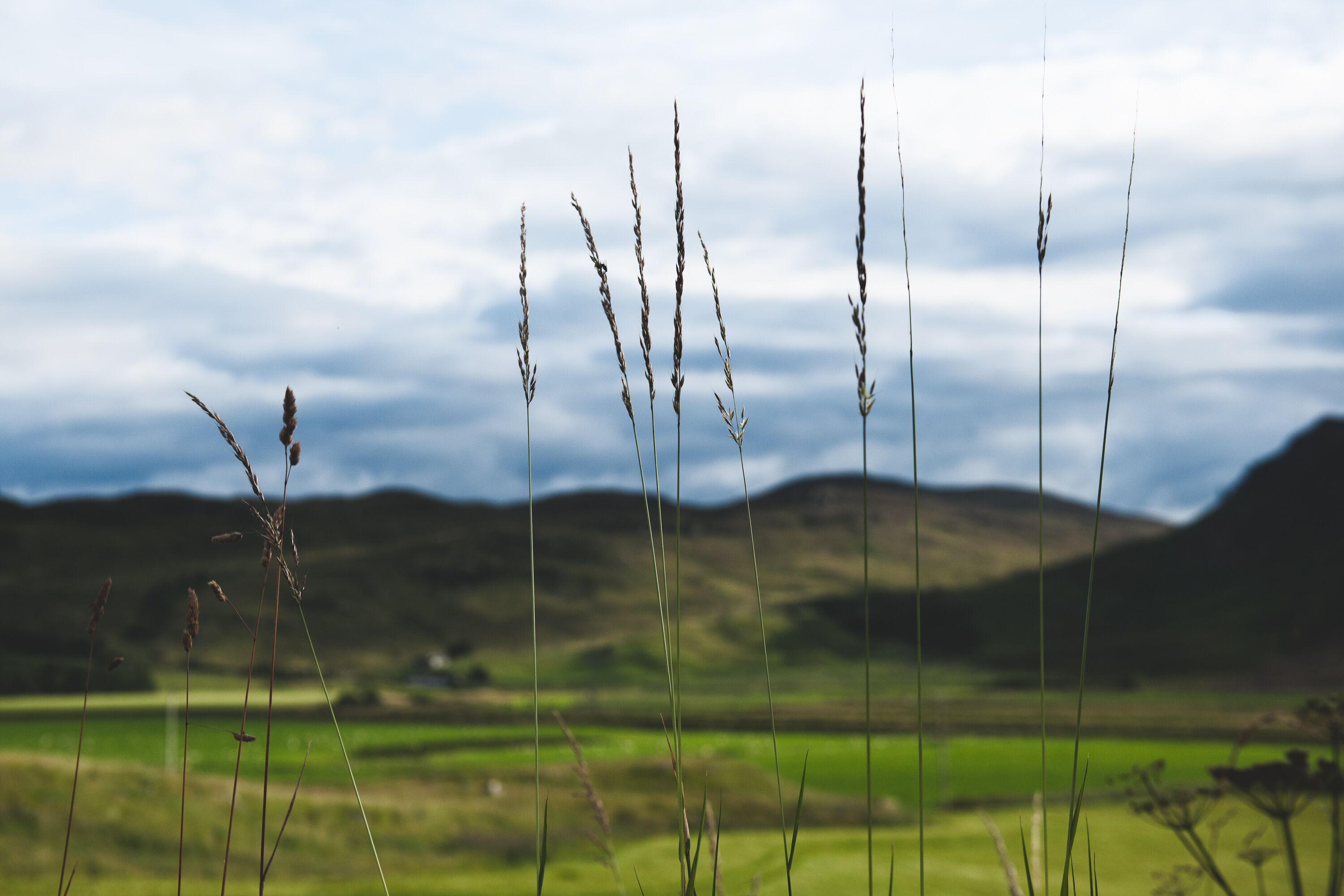 land view from property