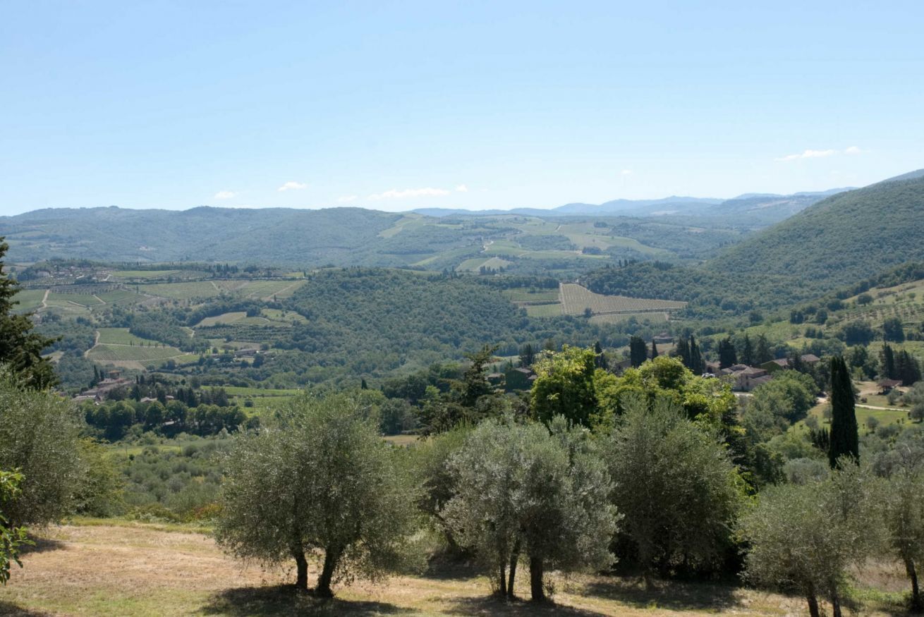 Ländliche Landschaft mit Olivenbäumen, sanften Hügeln und verstreuten Gebäuden.