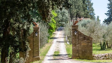Áreas de la propiedad